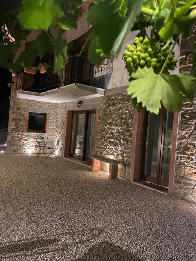 Podere Belsogno Montalcino Bagian luar foto