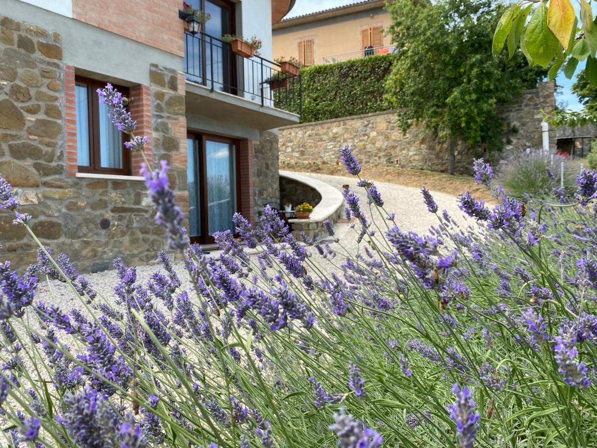 Podere Belsogno Montalcino Bagian luar foto