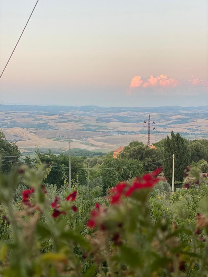 Podere Belsogno Montalcino Bagian luar foto